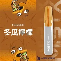 MIST X 鴨嘴獸拋棄式電子煙 一次性大容量 6500口 台灣現貨 711到付 35 MISTX TE6500 鴨嘴獸冬瓜檸檬 scaled 1