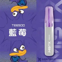 MIST X 鴨嘴獸拋棄式電子煙 一次性大容量 6500口 台灣現貨 711到付 33 MISTX TE6500 鴨嘴獸藍莓 scaled 1