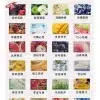 ILIA一代煙彈/哩亞電子煙煙彈/霧化彈3顆裝/口味齊全 台灣現貨 3 ILIA一代煙彈/哩亞電子煙煙彈/霧化彈3顆裝/口味齊全 台灣現貨